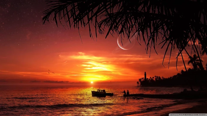Fantasy Summer Sunset Beach fishing and abstract 2k
