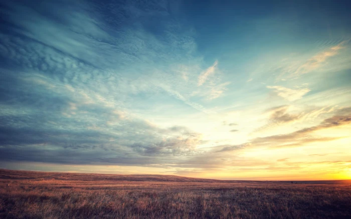 field dawn sky beautiful scenery 2k