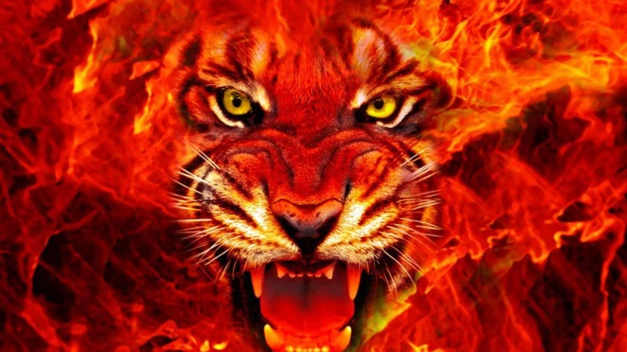 Fire King red tiger fire illustration big cats nature wildlife 2k