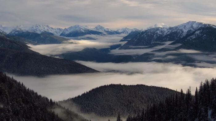 fog covering mountain mountains landscape nature clouds mist 2k