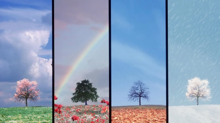 four seasons Nature Seasons HD Art 2k