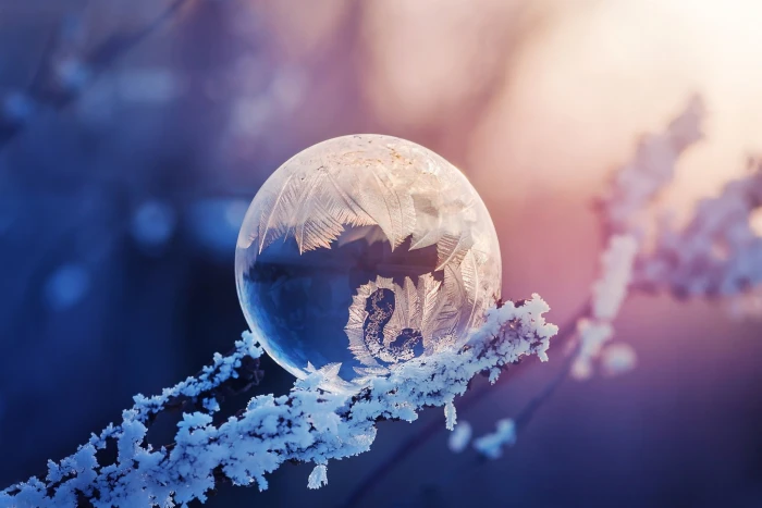 frozen bubble winter photography Nature 2k
