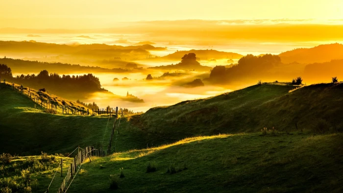 green grass field nature landscape clouds hills New Zealand 2k