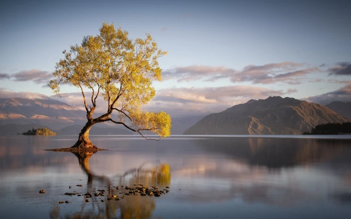 green leafed tree landscape nature lake trees mountains 53 2k