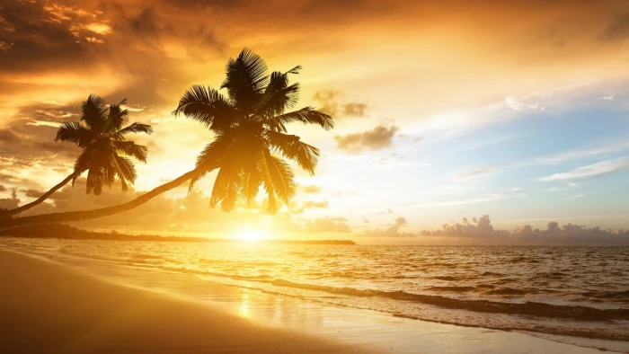 image nature desktop images sky water palm tree 2k