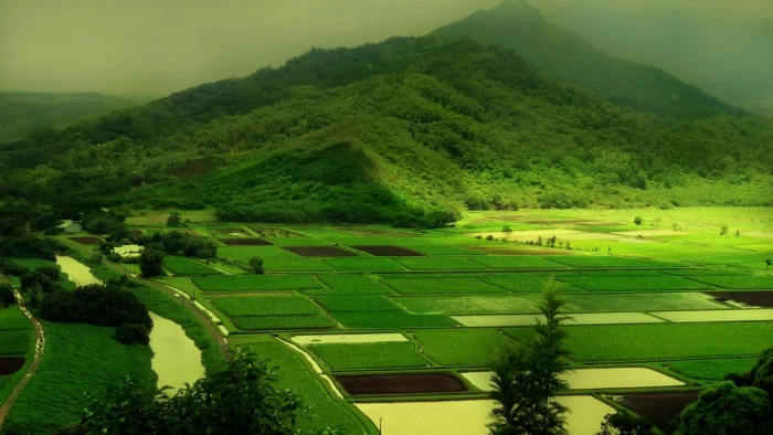 landscape nature green field river hills mist valley 2k