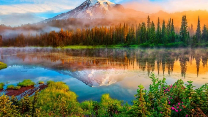 national park mount rainier united states washington 2k