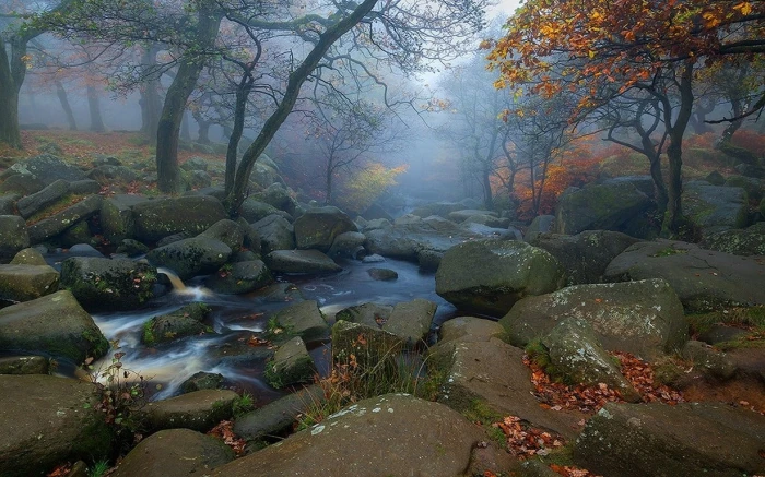 river between rocks landscape nature trees fall leaves morning