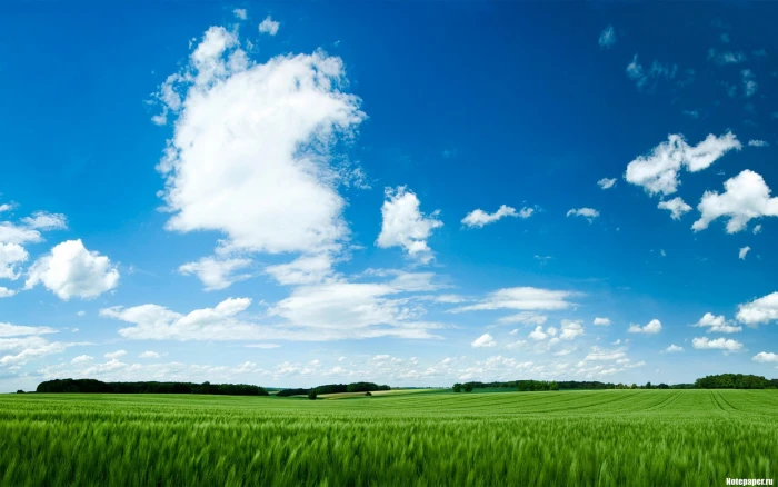 sceneries of nature for desktop sky field cloud 2k