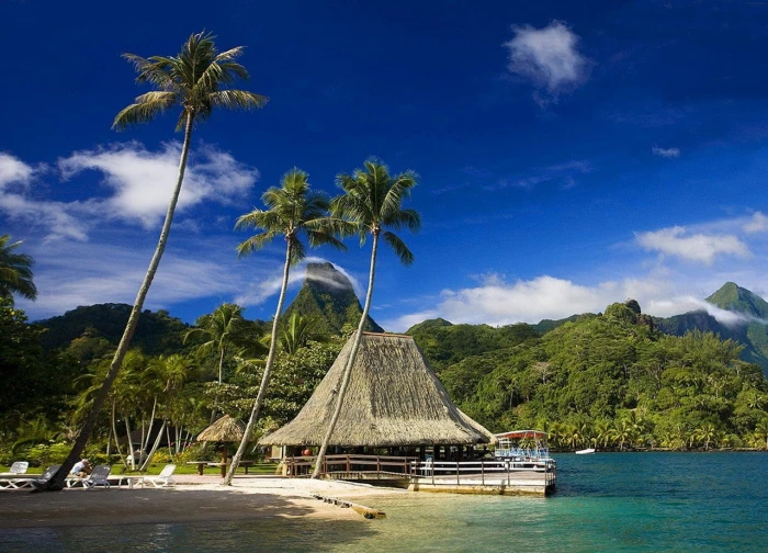 Tahiti tropical island palm trees mountains beach forest