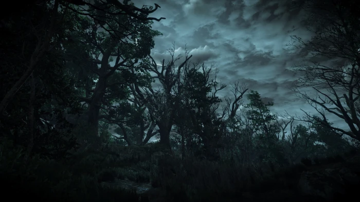 the witcher 3 wild hunt video games tree plant spooky sky 2k