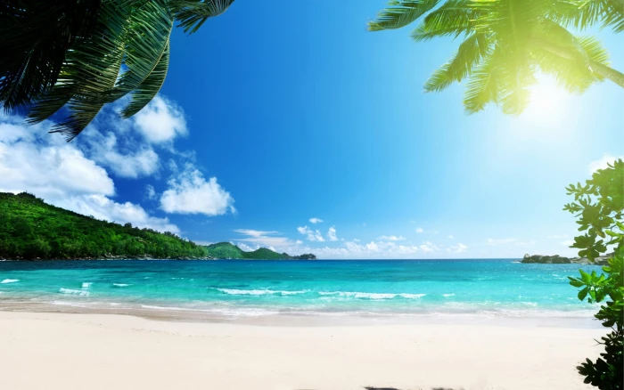 tropics beach palms sea islands sun stunning caribbean during daytime 2k