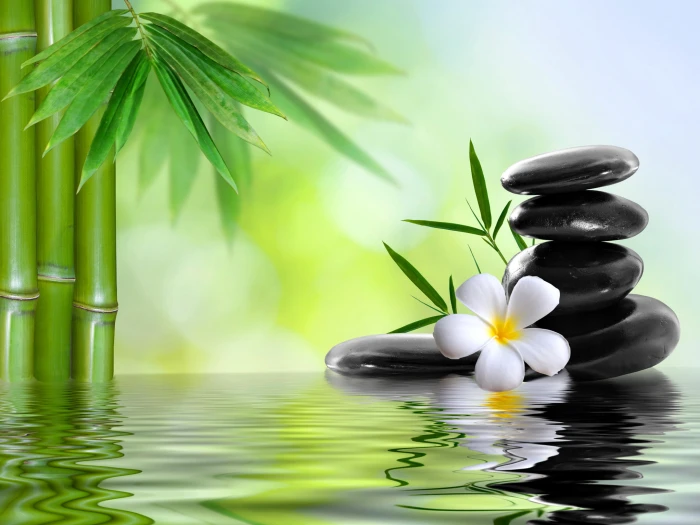 white frangipani flower and black stone cairn water stones 2k