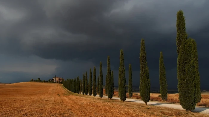 gray clouds landscape storm nature Italy trees road field 2k