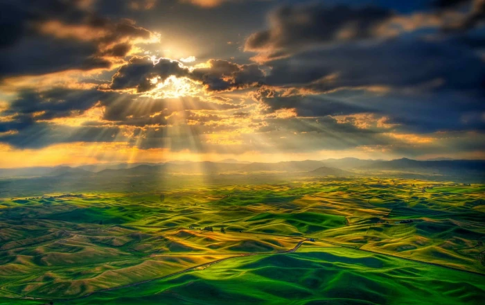 green and brown abstract painting photography nature sun rays 2k