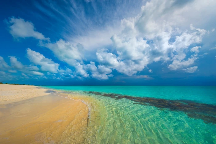 green beach nature landscape tropical Caribbean island turquoise 2k