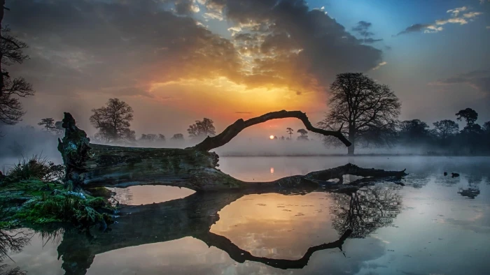 mist foggy misty dust landscape lake sunset evening 2k