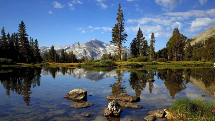 mountains landscapes forest california yosemite Nature Forests HD Art