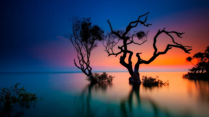 nature landscape trees plants long exposure sunset Rainbow Beach 2k