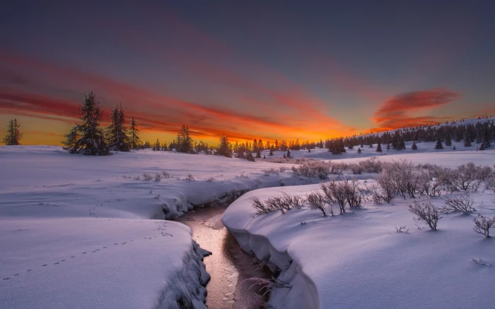 nature screen backgrounds winter cold temperature 2k