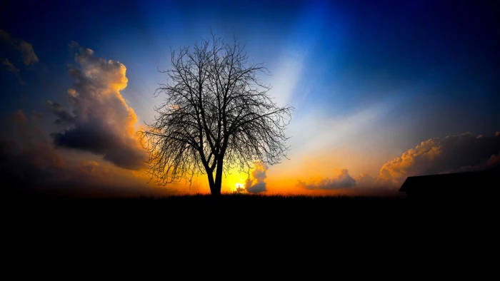 nature sun sunset sunrise sky star silhouette dusk atmosphere 2k