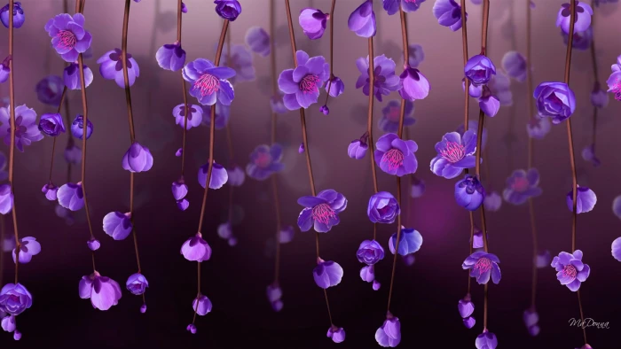 purple orchid digital wallpaper pink petaled flowers 2k