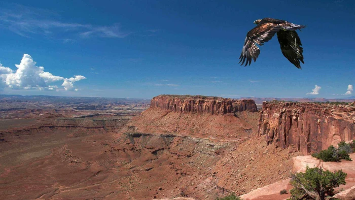 animals landscape canyon rock mountain valley sky travel 2k