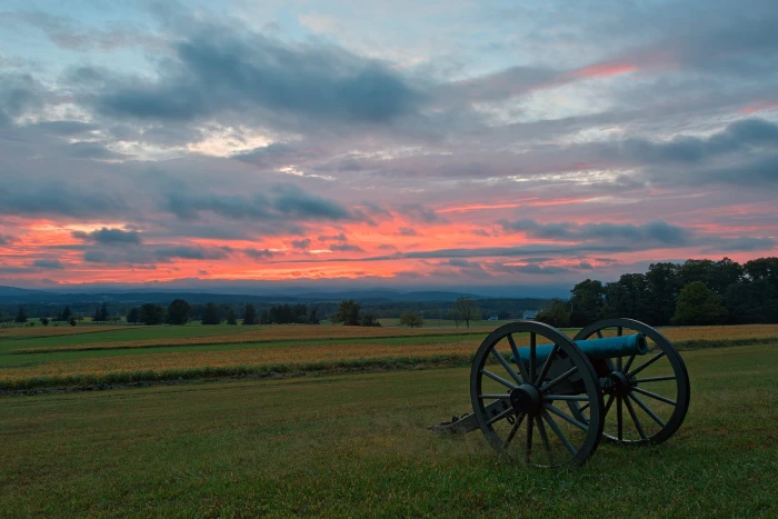 black and blue artillery cannon on green grass during daytime 2k
