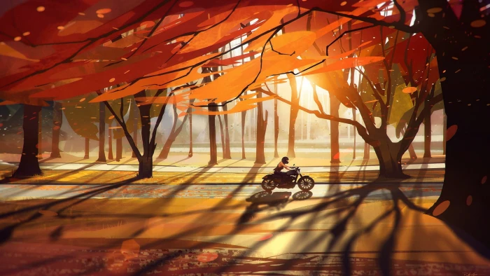 black motorcycle man riding Heavy bike nature sunset 2k