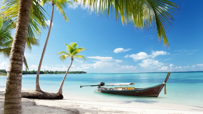 brown boat near shoreline landscape palm trees sea beach 2k