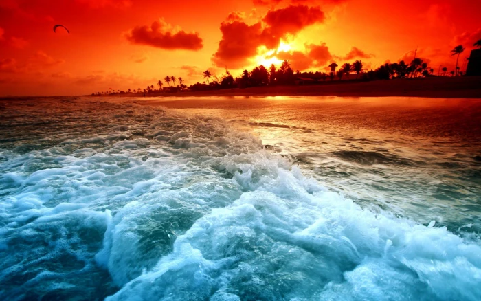 Fiery Sunset Beach nature beaches sunsets fiery sky and landscapes 2k