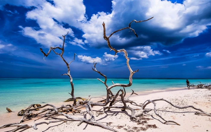 landscape photography of seashore nature beach sand tropical 2k