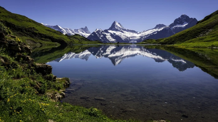mountain lake bachalpsee bachsee glacial jungfrau 2k