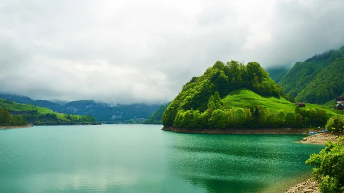 nature landscape trees forest mist hills water grass 2k