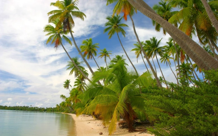 nature landscape tropical island beach French Polynesia 2k