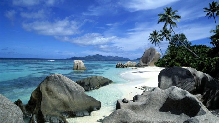 seashore beach landscape nature palm trees rock sky water 2k