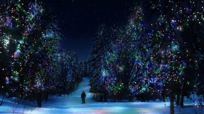 sky light sun snow season christmas holiday tree landscape 2k
