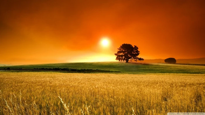 sunset nature summer Nature Seasons HD Art 2k