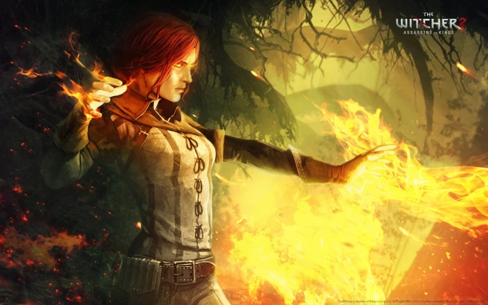 The Witcher digital wallpaper the witcher 2 assassins of kings 2k