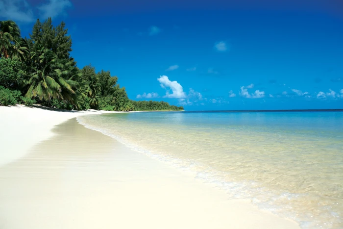 white sand beach shoreline tropics palm trees relax sea island 2k