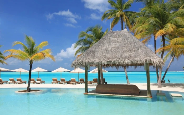 canopy with cogon roof beach palm trees sea water tropical climate 2k