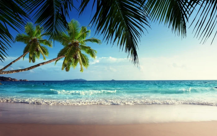 green coconut tress and teal sea beach sand palm trees tropical 2k