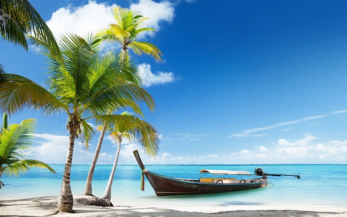 shoreline beach boat 2k
