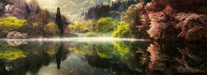 tall trees reflecting on calm body of water in landscape photography 88 2k