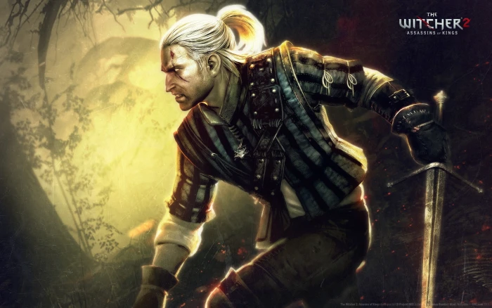 the witcher adult one person indoors real people men young 2k