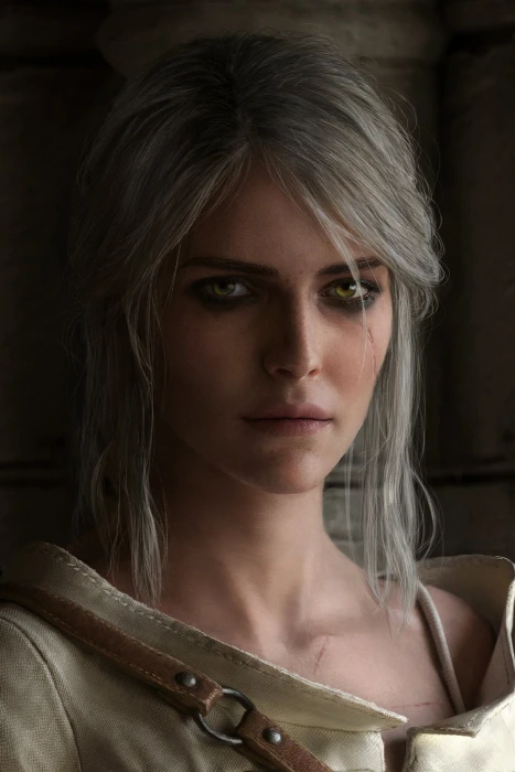 The Witcher 3 Wild Hunt video games RPG portrait