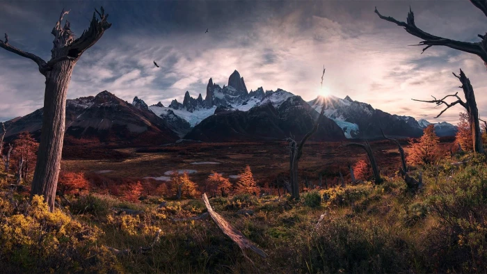 tree el chalten cerro argentina mountain range 2k