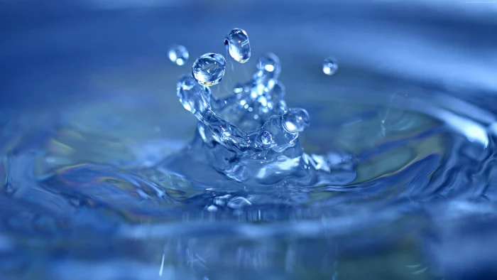 water jew shallow focus photography of droplets nature 2k 4k