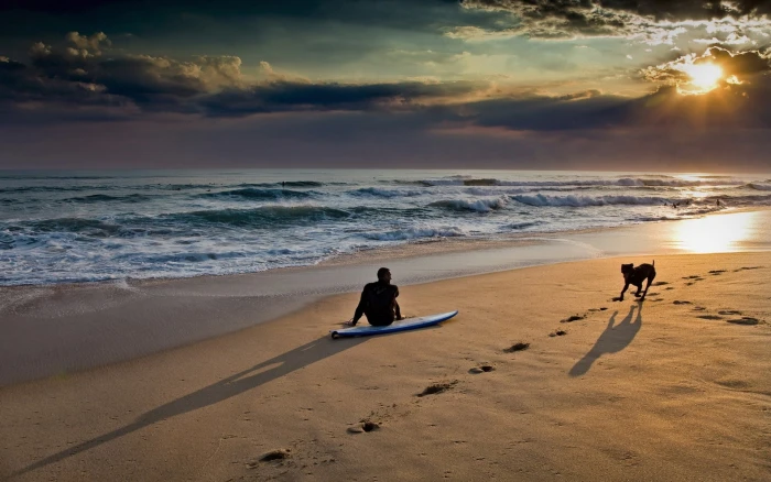 white surfboard surfing waves beach people sky dog sunlight 2k