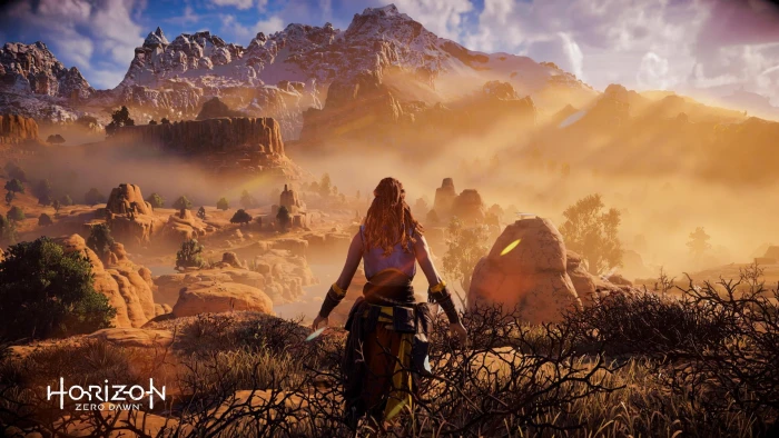 women's black and brown floral dress Horizon Zero Dawn PlayStation 4 2k